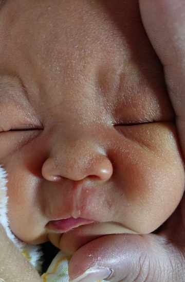 ���ɂ���